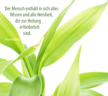 Akupunktur, Meditation, Therapie craniosacral